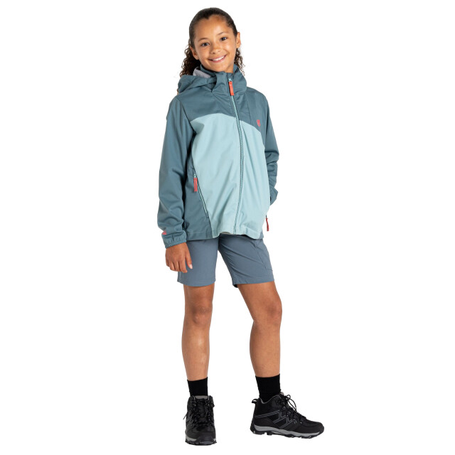 Dare2b Kinderen/kinderen explore soft shell jas UTRG11978_elementgreyaquifer large
