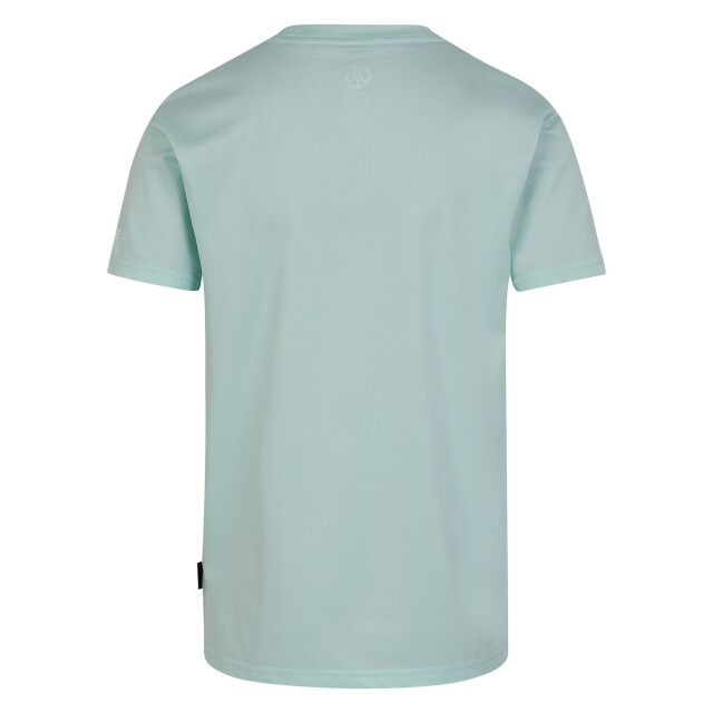 Dare2b Kinderen/kinderen amuse ii tijger t-shirt UTRG11916_mintgreen large