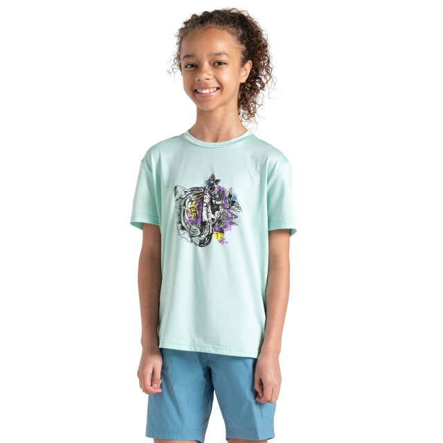 Dare2b Kinderen/kinderen amuse ii tijger t-shirt UTRG11916_mintgreen large