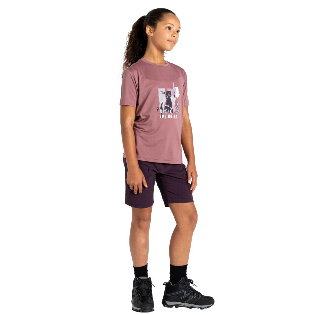 Dare2b Kinderen/kinderen breek de regels amuse ii t-shirt UTRG11935_mauve large
