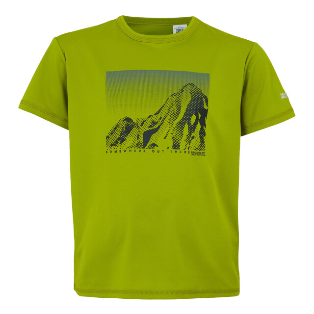 Regatta Kinderen/kinderen alvarado ix berg t-shirt UTRG11930_grenoblegreen large
