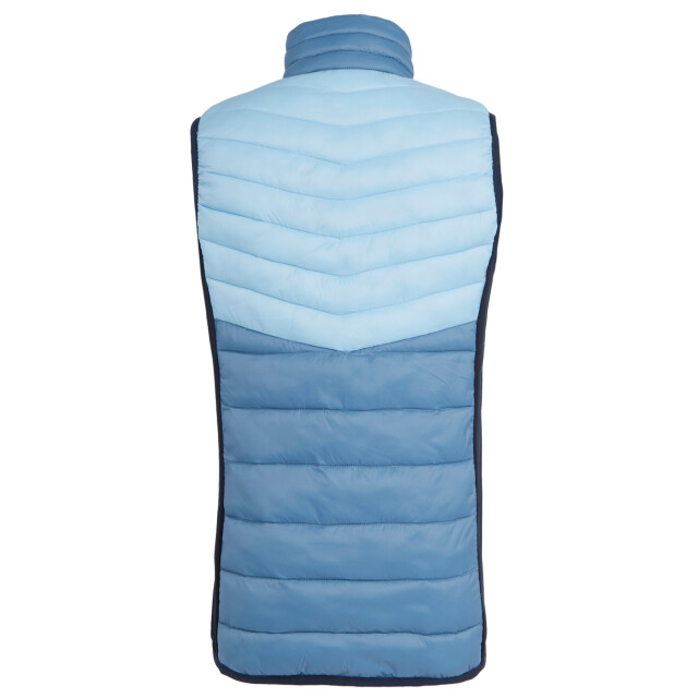 Regatta Dames leedre bodywarmer UTRG12005_navycoronetblue large
