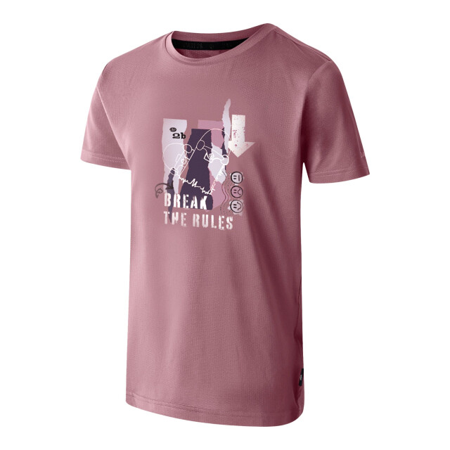 Dare2b Kinderen/kinderen breek de regels amuse ii t-shirt UTRG11935_mauve large