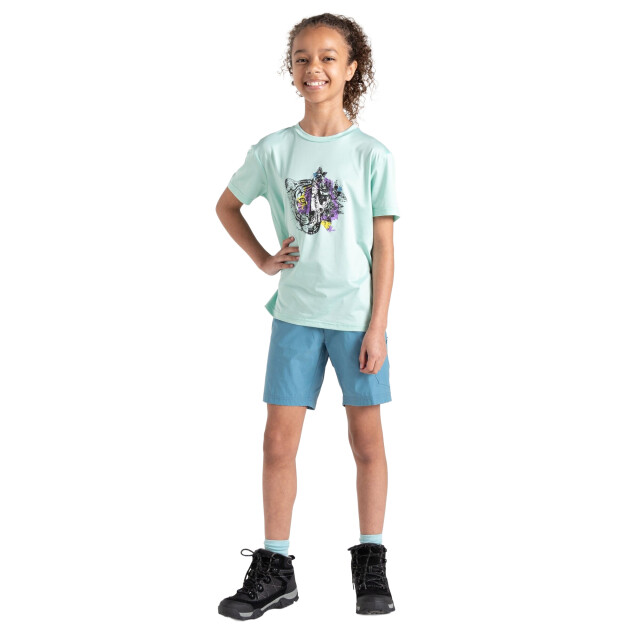 Dare2b Kinderen/kinderen amuse ii tijger t-shirt UTRG11916_mintgreen large