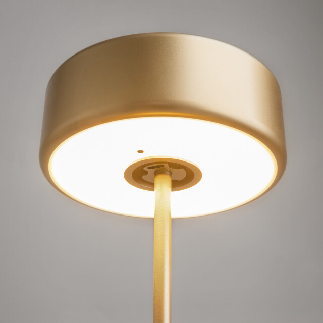 Maytoni batterijlamp ai collaboration - Ø12 3173391 large