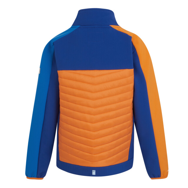 Regatta Childrens/kids brynden gewatteerde full zip soft shell jas UTRG12021_newroyalpersimmon large