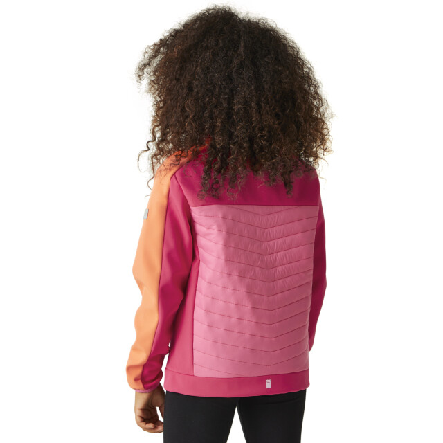 Regatta Childrens/kids brynden gewatteerde full zip soft shell jas UTRG12021_pinkpotionflamingopink large