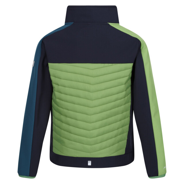 Regatta Childrens/kids brynden gewatteerde full zip soft shell jas UTRG12021_navypiquantgreen large
