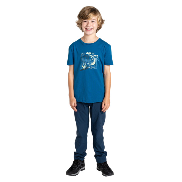 Dare2b Kinderen trailr ii wave t-shirt UTRG11918_bluesapphire large