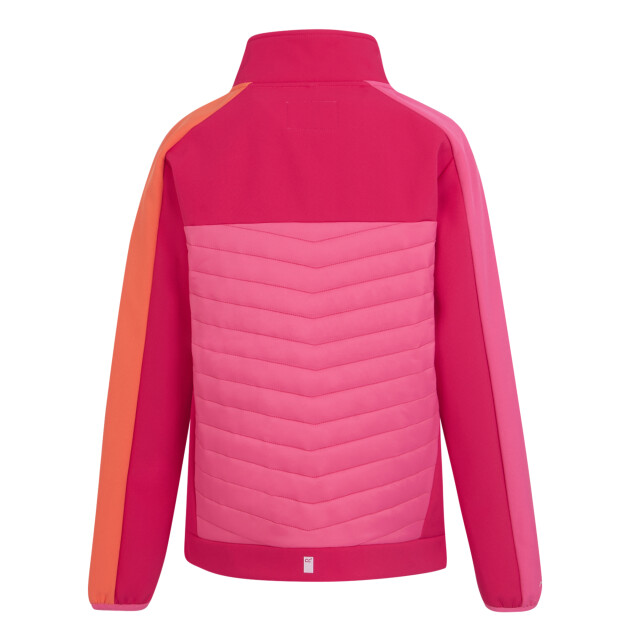 Regatta Childrens/kids brynden gewatteerde full zip soft shell jas UTRG12021_pinkpotionflamingopink large