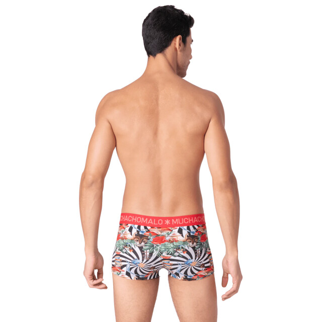 Muchachomalo Heren 2-pack trunks jackbean alicewonder JACKBEANALICEWONDERE3025-04 large