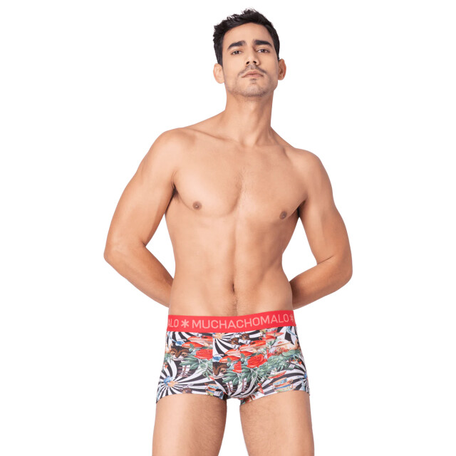 Muchachomalo Heren 2-pack trunks jackbean alicewonder JACKBEANALICEWONDERE3025-04 large