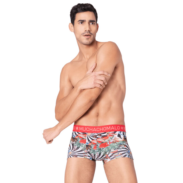 Muchachomalo Heren 2-pack trunks jackbean alicewonder JACKBEANALICEWONDERE3025-04 large