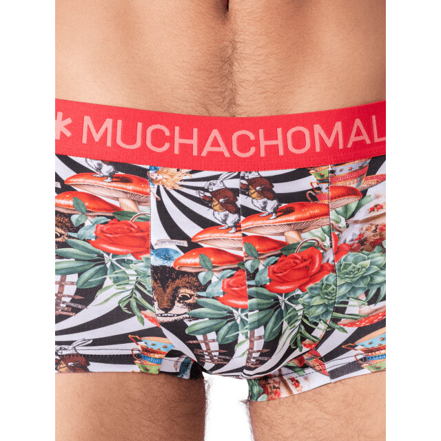 Muchachomalo Heren 2-pack trunks jackbean alicewonder JACKBEANALICEWONDERE3025-04 large