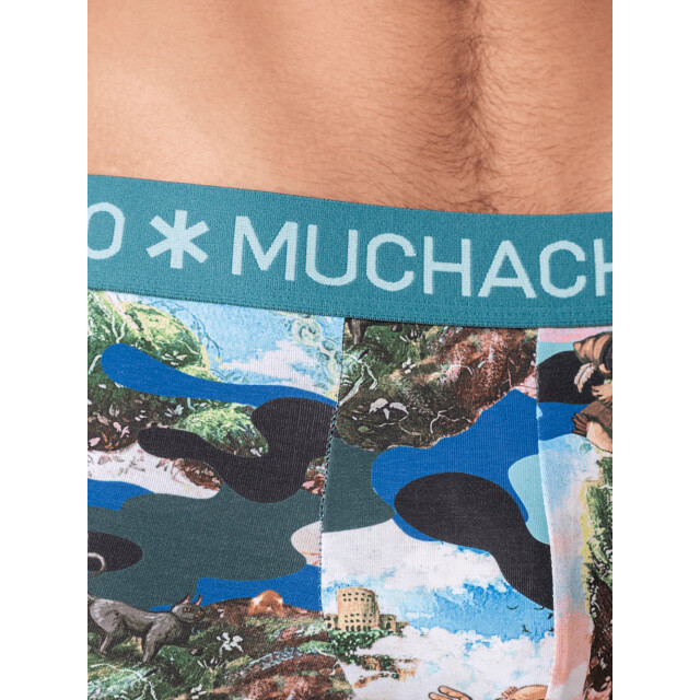Muchachomalo Heren 2-pack trunks jackbean alicewonder JACKBEANALICEWONDERE3025-04 large