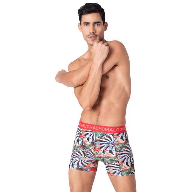 Muchachomalo Heren 3-pack boxershorts jackbean alicewonder JACKBEANALICEWONDER1010-07 large