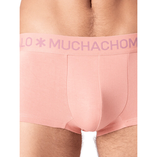 Muchachomalo Heren 3-pack trunks pinocchio peter PINOCCHIOPETER3025-07 large