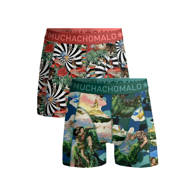 Muchachomalo Jongens 2-pack boxershorts jackbean alicewonder JACKBEANALICEWONDER1010-04J large