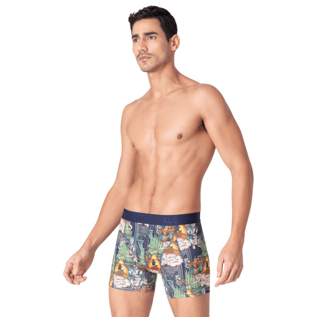 Muchachomalo Heren 2-pack boxershorts pussboots wizardoz PUSSBOOTSWIZARDOZ1010-04J large