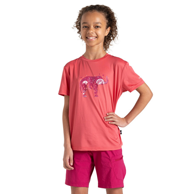 Dare2b Kinderen/kinderen amuse ii spring t-shirt UTRG11931_neonpink large