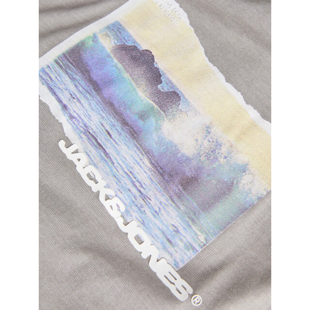 Jack & Jones Jocsagoo photo slub tee 12276525 large