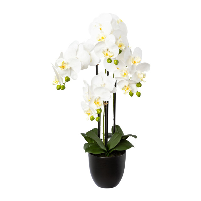 Kopu ® kunstbloem orchidee 69 cm met zwarte pot phalenopsis 3037460 large