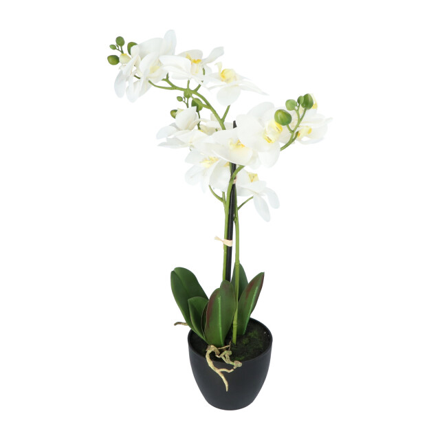 Kopu ® kunstbloem orchidee 69 cm met zwarte pot phalenopsis 3037460 large