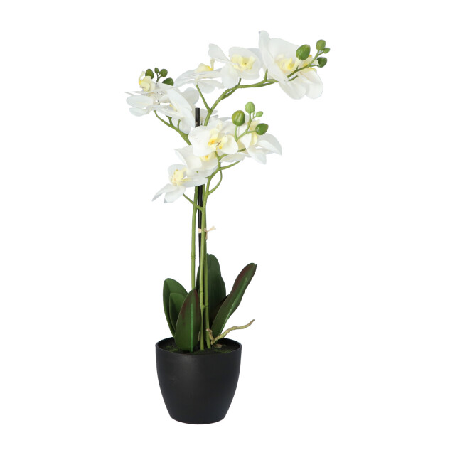 Kopu ® kunstbloem orchidee 69 cm met zwarte pot phalenopsis 3037460 large