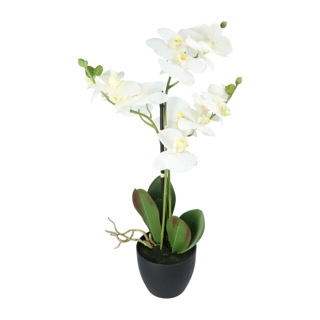 Kopu ® kunstbloem orchidee 69 cm met zwarte pot phalenopsis 3037460 large