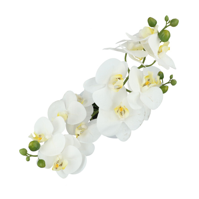 Kopu ® kunstbloem orchidee 69 cm met zwarte pot phalenopsis 3037460 large