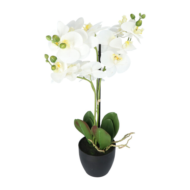 Kopu ® kunstbloem orchidee 69 cm met zwarte pot phalenopsis 3037460 large