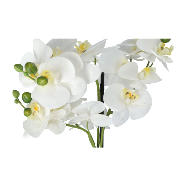 Kopu ® kunstbloem orchidee 69 cm met zwarte pot phalenopsis 3037460 large