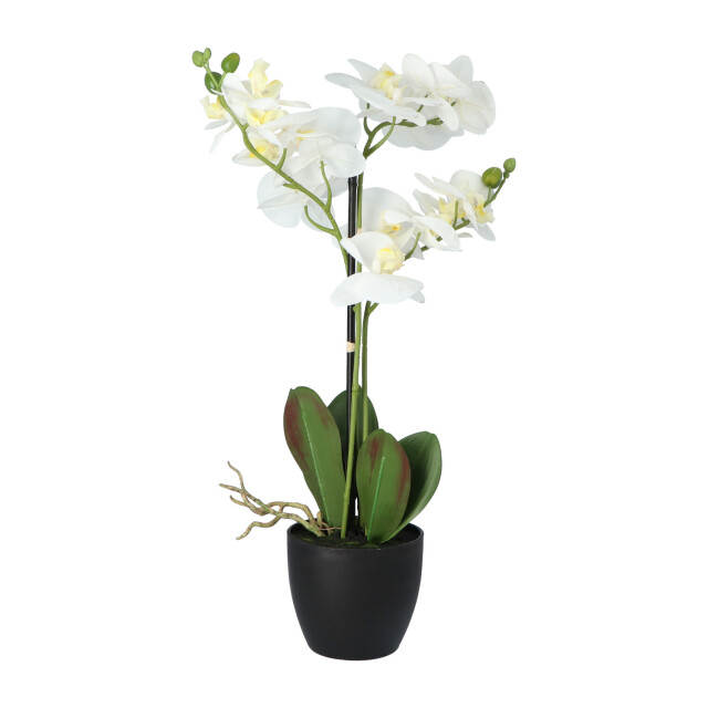 Kopu ® kunstbloem orchidee 69 cm met zwarte pot phalenopsis 3037460 large