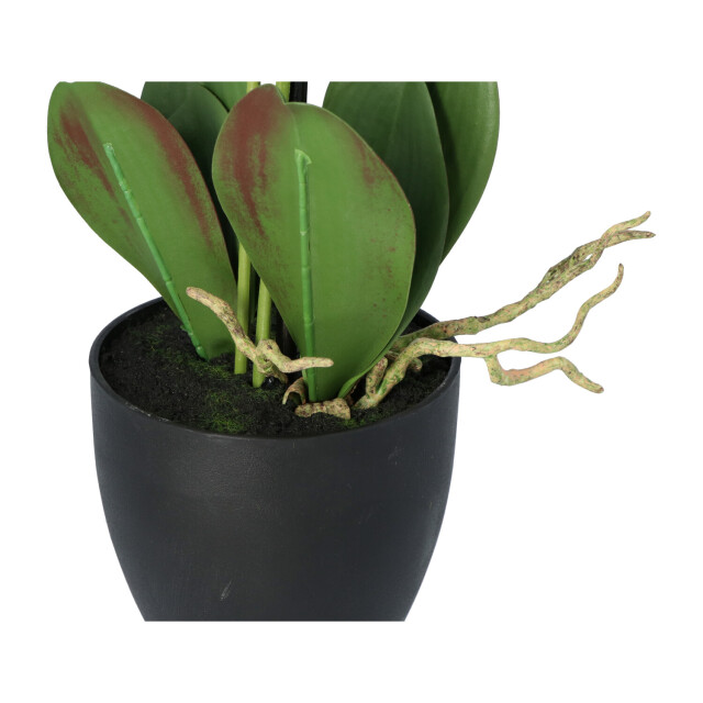 Kopu ® kunstbloem orchidee 69 cm met zwarte pot phalenopsis 3037460 large