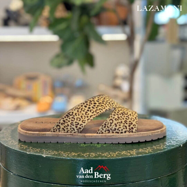 Lazamani Damesschoenen slippers LA75010 large
