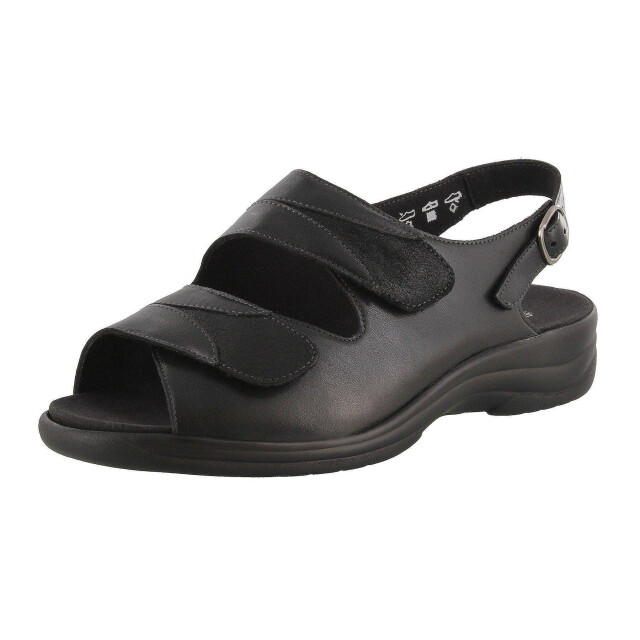 Solidus Moni 74019-00196 large