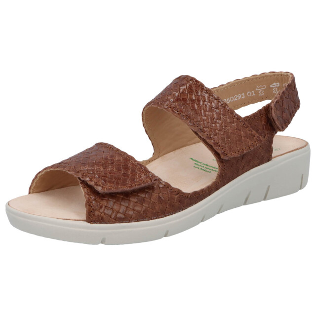 Solidus Honey 76029-30276 large