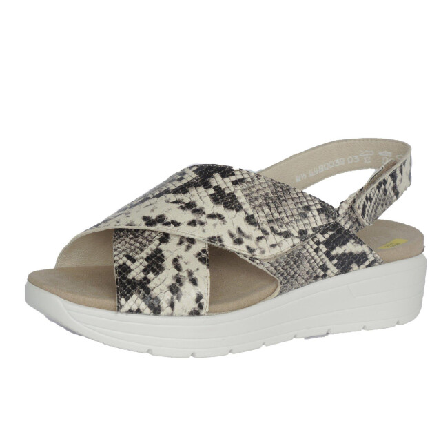 Solidus Greta 48003-20665 large