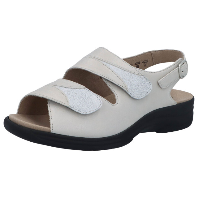 Solidus Moni 74019-10316 large