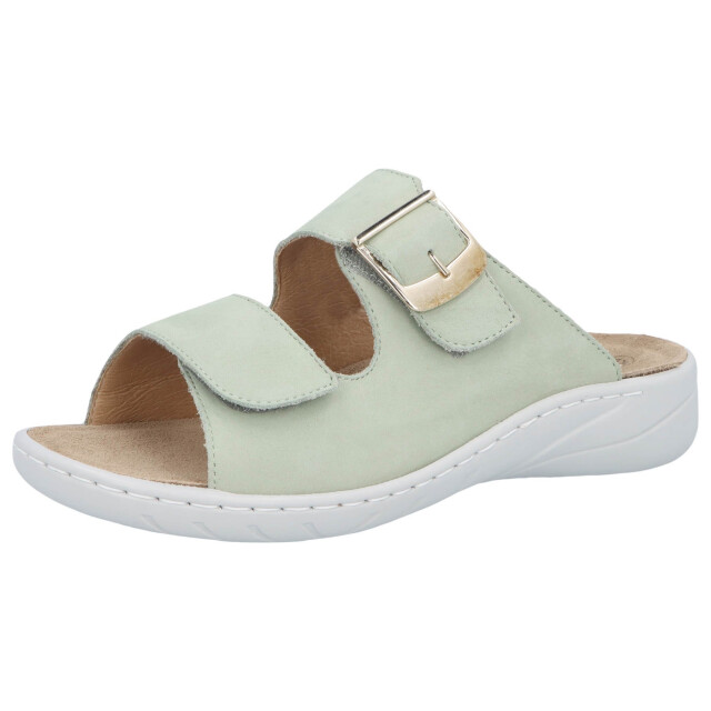Solidus Wellness special 20187-70276-G large