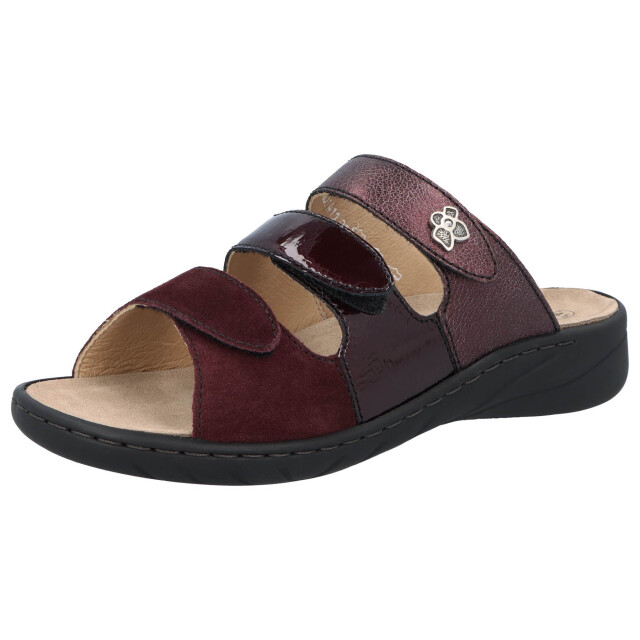 Solidus Wellness spezial 20141-50204 large