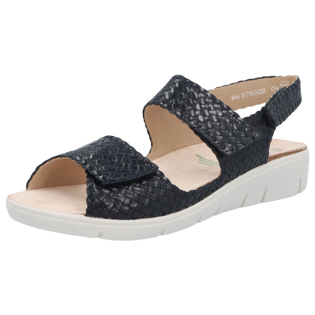 Solidus Honey 76029-80360 large