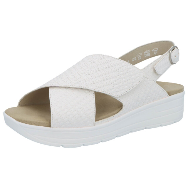 Solidus Greta 48003-10312 large