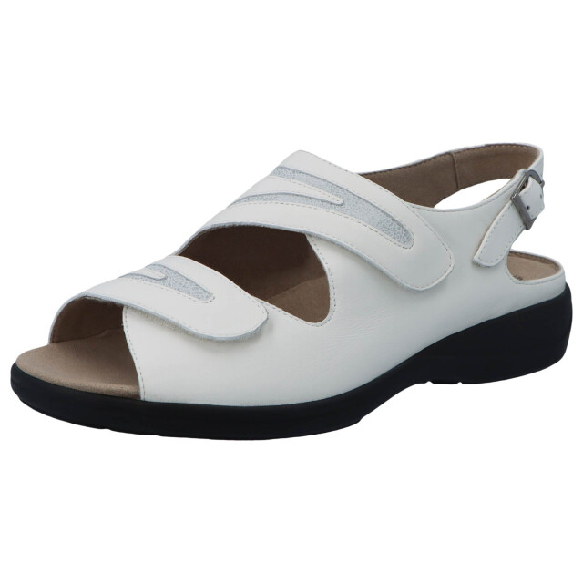 Solidus Lia 73043-10328 large