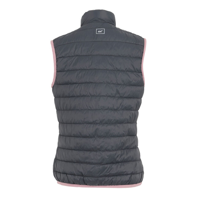 Regatta Dames hillpack ii gilet UTRG10774_sealgreylilas large