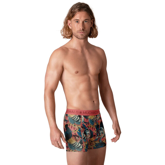 Muchachomalo Heren 12-pack boxershorts print/effen U-GOLDEN1010-17 large
