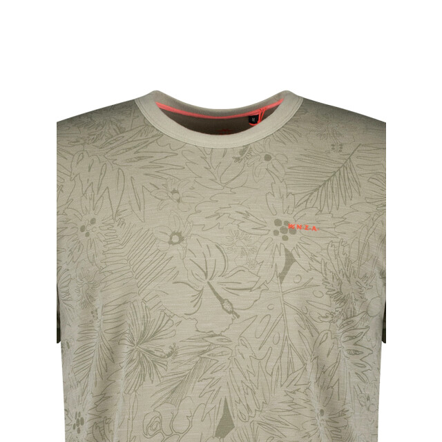 New Zealand Auckland 25dn741 hamza 25DN741 Hamza large