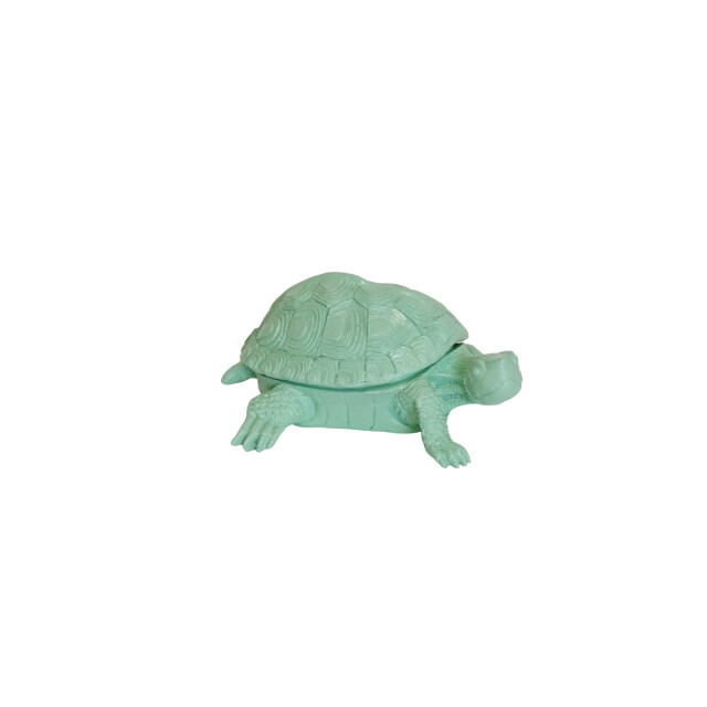 House Vitamin Turtle box polyresin mintgreen 15.5x13.5x7.5cm 3190414 large