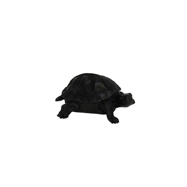 House Vitamin Turtle box polyresin black 15.5x13.5x7.5cm 3190411 large