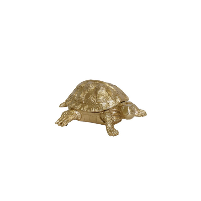 House Vitamin Turtle box polyresin gold 15.5x13.5x7.5cm 3190408 large